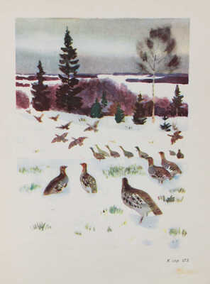 Бианки В.В. Рассказы и сказки / Вступ. ст. Г. Гроденского; ил. В. Курдов и др. М.; Л.:  Детгиз, 1954.